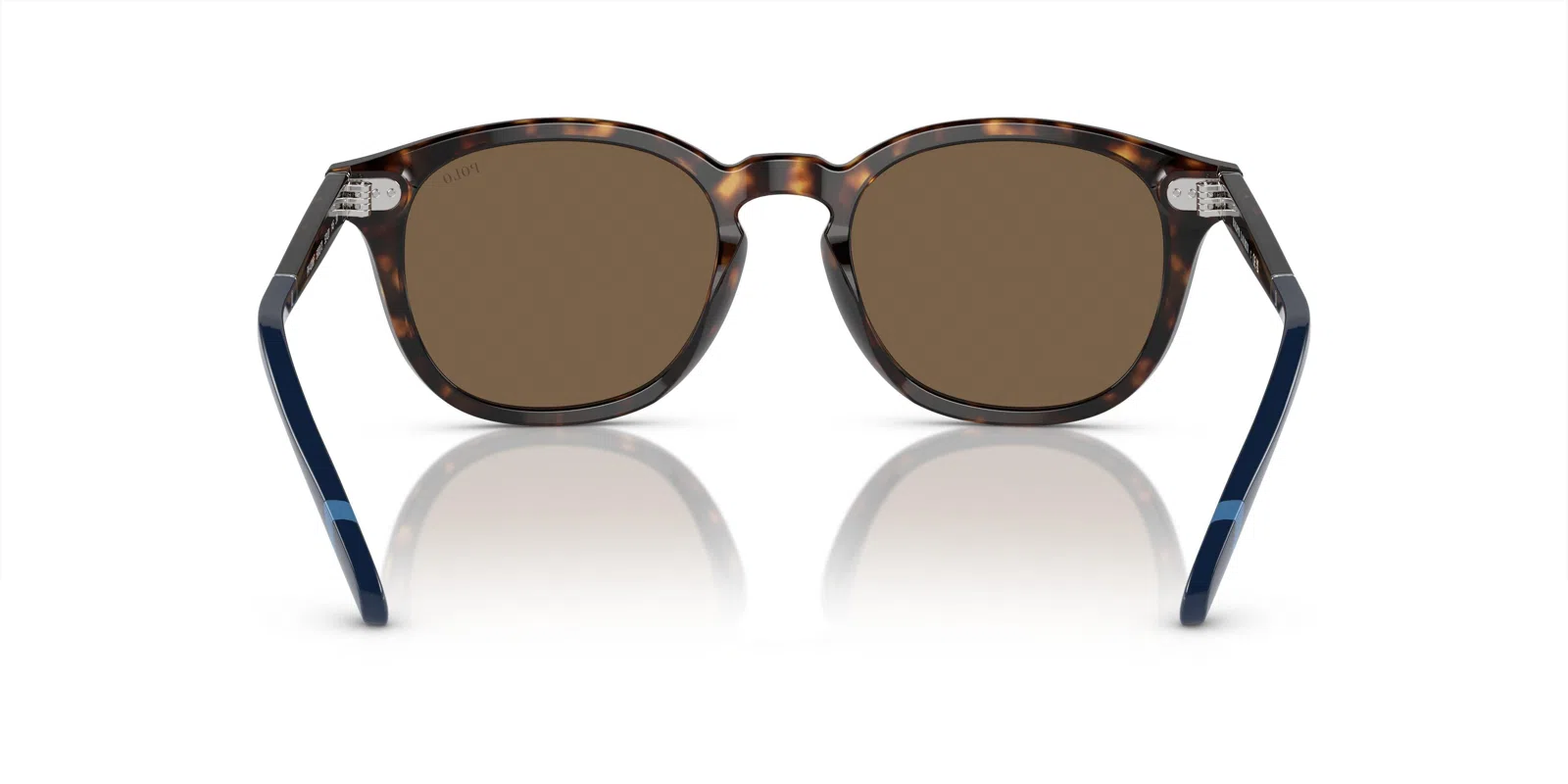 Polo 4206F Sunglasses - view 7